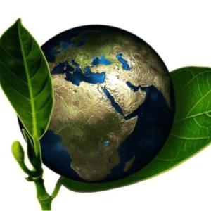 Cuidado de medio ambiente