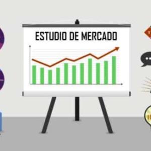 ESTUDIO DE MERCADO