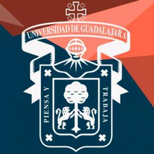 EXAMEN SOBRE EL TRABAJO SOCIAL EN AMÉRICA LATINA