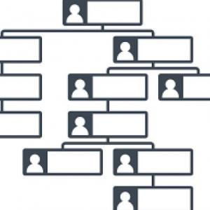 Organigrama