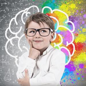 Teoría del Desarrollo Cognitivo