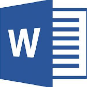 MS Word