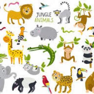 Imagen de portada del videojuego educativo: Animales de la Selva, de la temática Medio ambiente