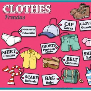 The clothes