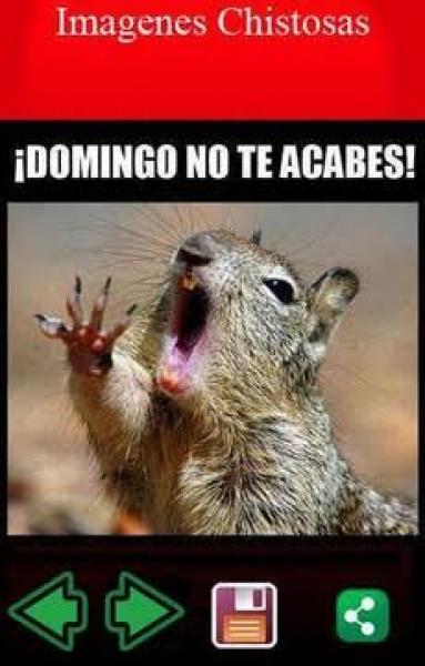El del josha
