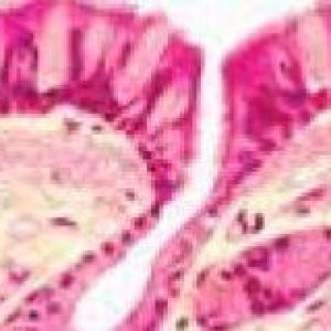 Epitelios glandulares histología