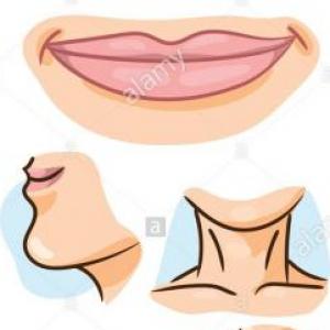 Partes del cuerpo