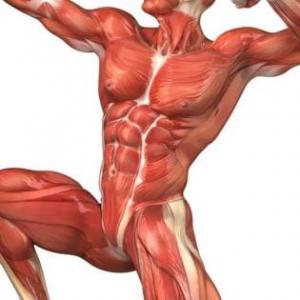 La oca fitness