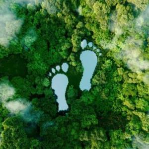 Disminuye tu huella ecológica
