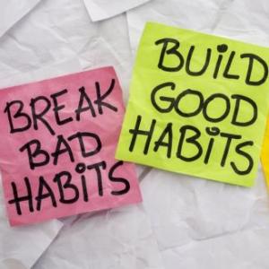 Portada del juego Past habits – Idiomas
