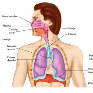 Portada del juego Las resonancias articulatorias de vocales y consonantes – Idiomas