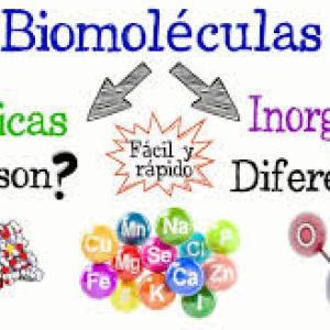 Biomoléculas