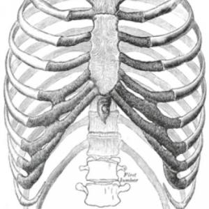 Síndromes pleuropulmonares: