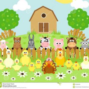 Mi granja