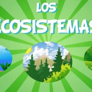 La vida en un ecosistema.