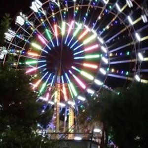 FERIA DE SAN LUCAS TOLIMÁN LUIS PEDRO