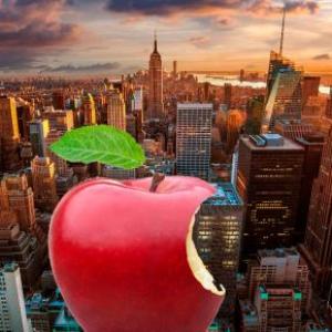 Card Sort: La Gran Manzana
