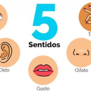 Adivinanzas (partes del  cuerpo y la familia
