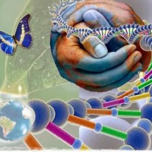 Descubriendo el mundo de la ciencia
