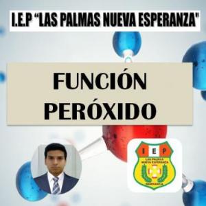 FUNCIÓN PERÓXIDO