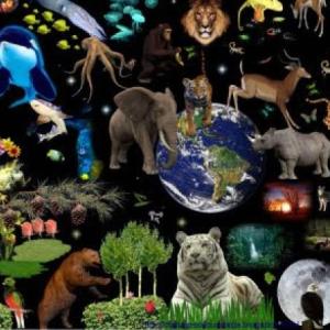 Las características de los seres vivos