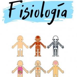 Partes del sistema reproductor humano
