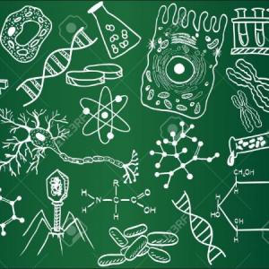 "BIOLOGIJUEGO"