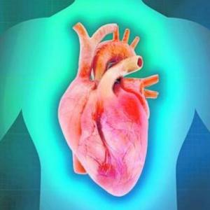 EL CORAZÓN
