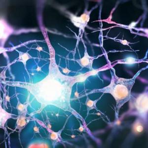 Neuronas y Células gliales