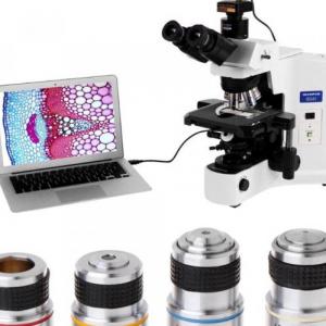Imagen de portada del videojuego educativo: Microscopía básica, de la temática Biología