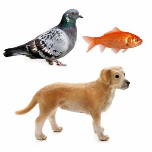 ANIMALES