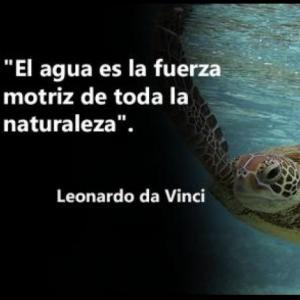 Animales Acuáticos