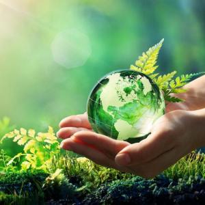 Vocabulaire de l'environnement