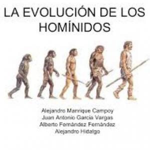 TRIVIA DE SURGIMIENTO Y EVOLUCIÓN