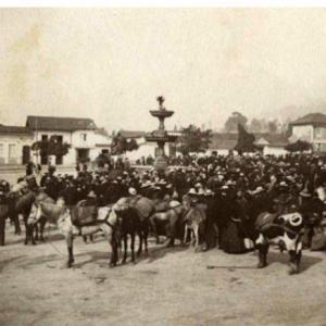 LA TRIVIA DE LA HISTORIA