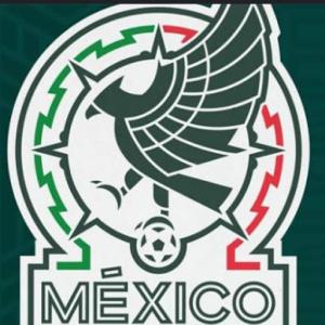 Fútbol mundial