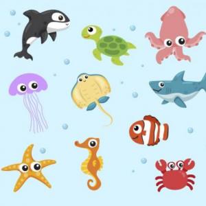 Animales Marinos