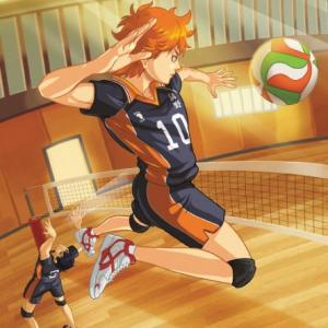  voleibol