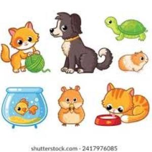 Animales Domésticos