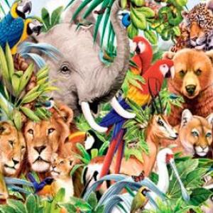 Trivia: Clasificacion de Reinos Animales