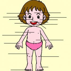 partes del cuerpo humano