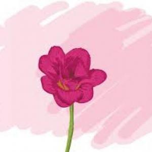 Reconozco las flores de la naturaleza