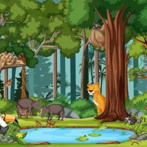 BUSCA LOS ANIMALES SALVAJES