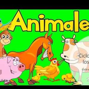 MEMORIA DE LOS ANIMALES