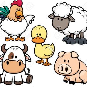 LES ANIMAUX