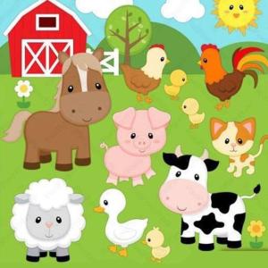 LES ANIMAUX