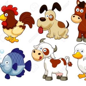 LES ANIMAUX