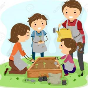 Pequeños botanicos formandonos en familia