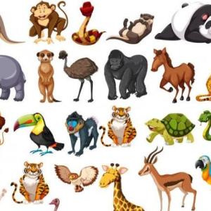 Mision Animal 