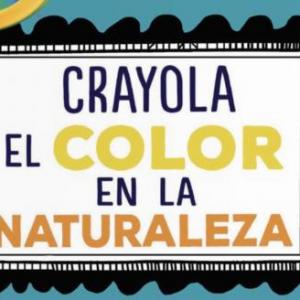 Memoria El color de la Naturaleza